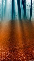 descargar wallpaper de Naturaleza